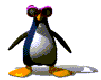 Gif of penguin with sunglasses dancing